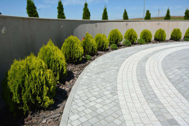 Best Cobblestone Driveway Pavers  in Enochville, NC